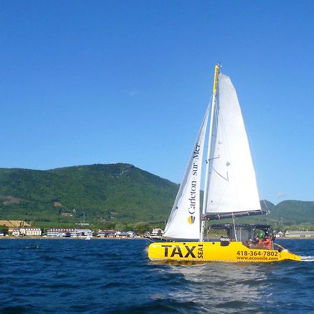 Est Eco-Cabines Nouvelle Zewnętrze zdjęcie